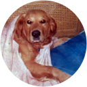 Bryan Finney profile picture